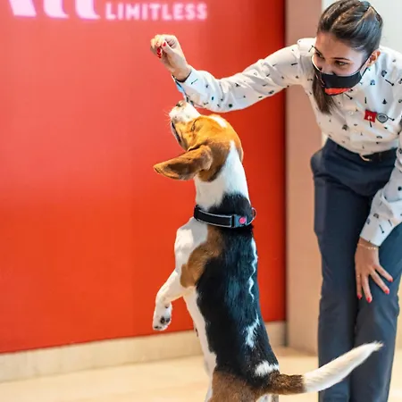 ホテルイビス リスボア ジョゼマリョア リスボン
