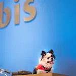 Ibis Jose Malhoa Hotel Lizbona