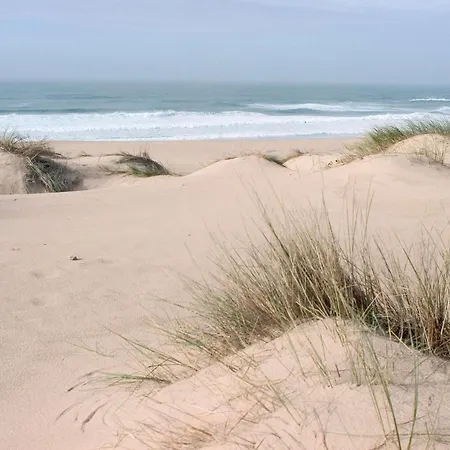 Ibis Jose Malhoa Szálloda