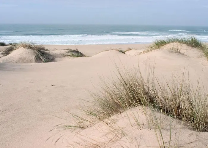 ホテルイビス リスボア ジョゼマリョア ホテル